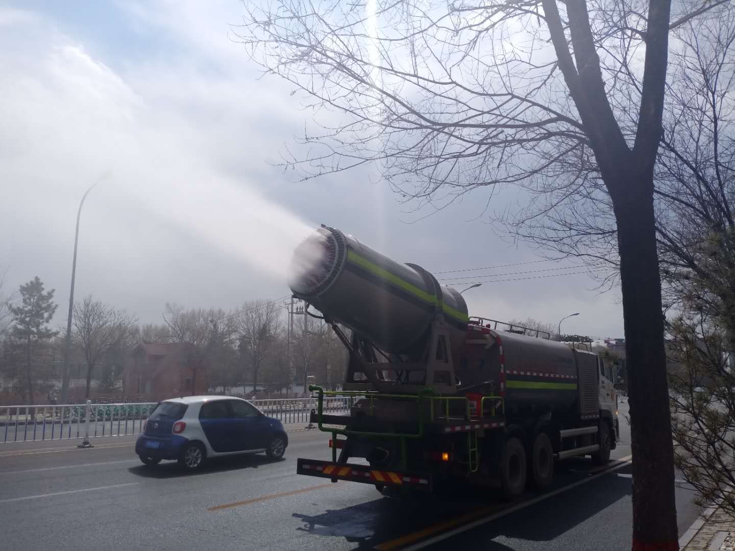 “城市黄玫瑰绽放新英姿”