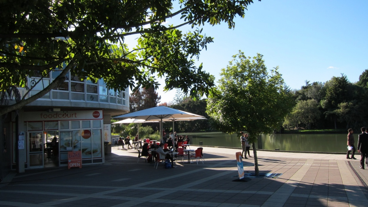 怀卡托大学预科要求,怀卡托大学预科免费