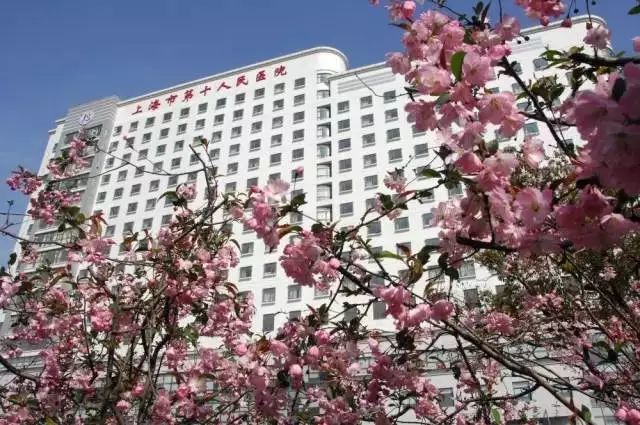 上海最顶级的私立医院,上海最高逼格医院