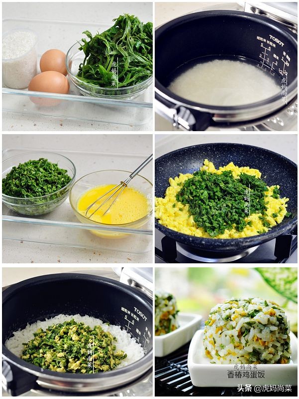 鲜食香椿的各种吃法大全,香椿分期付款