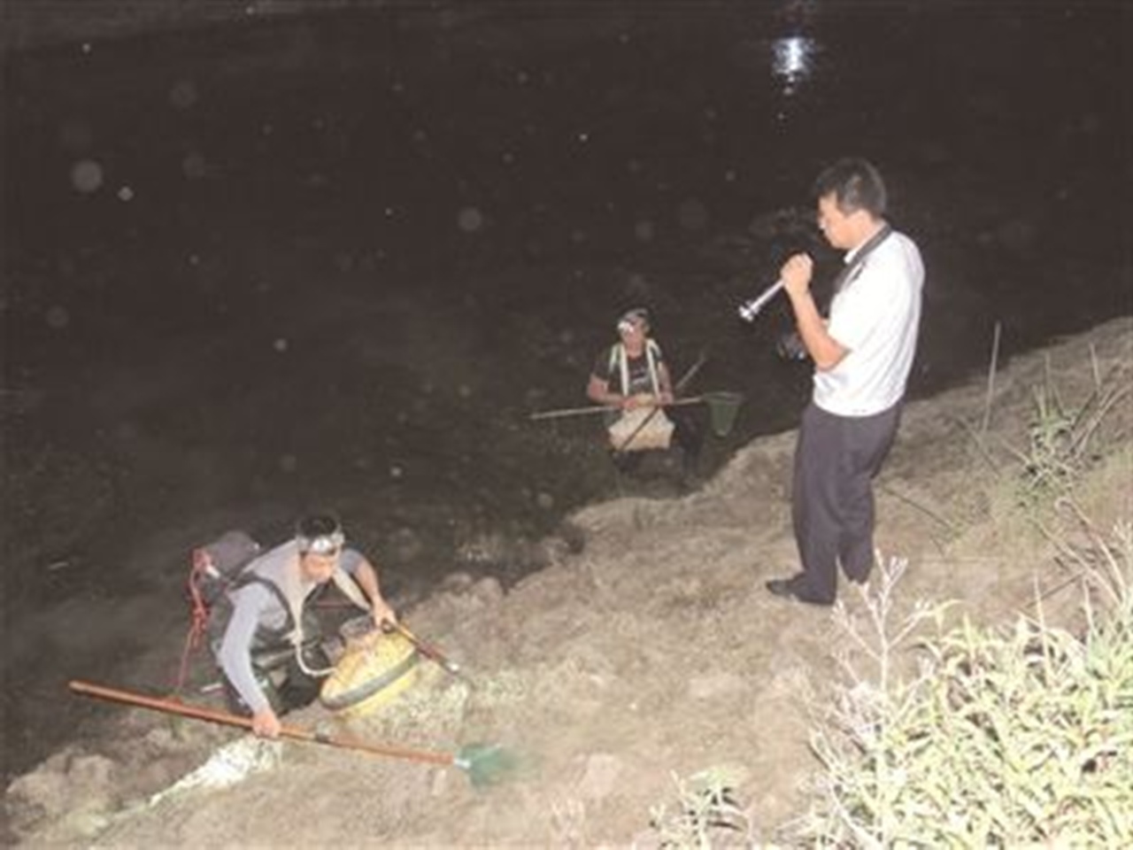 钓鱼遇到电鱼可以报警吗,钓鱼遇到电鱼的要报警吗