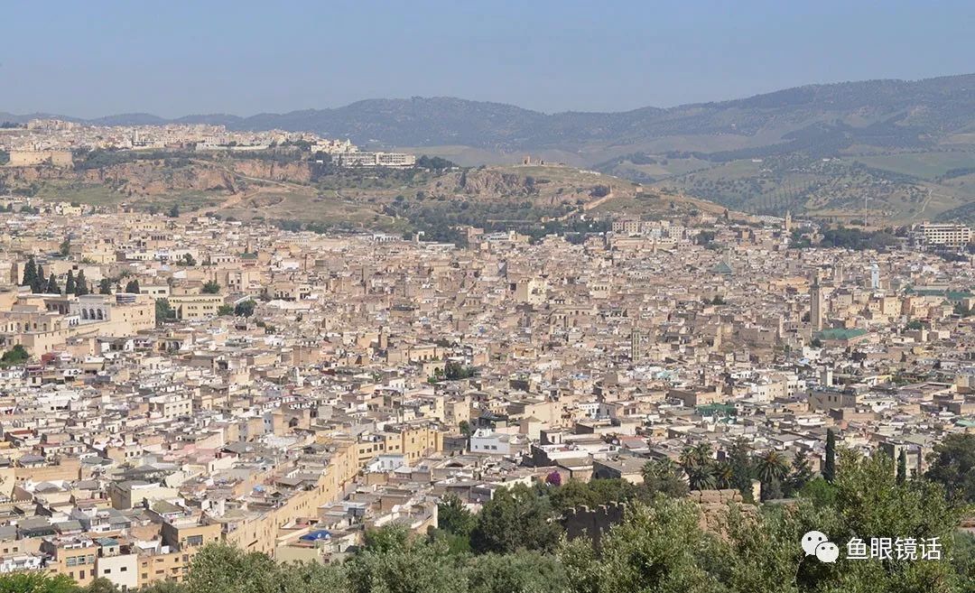 仔细看一看：包容的力量到底有多大？