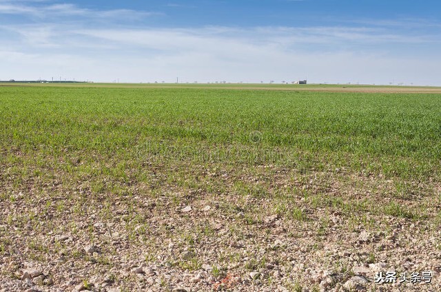 重阳节是怎么样的说法,九九重阳节阴天有什么说法吗