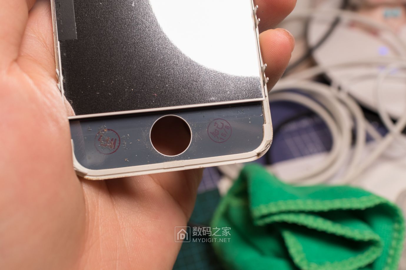 把未拆封的iphone4做成标本,iphone4被做成标本