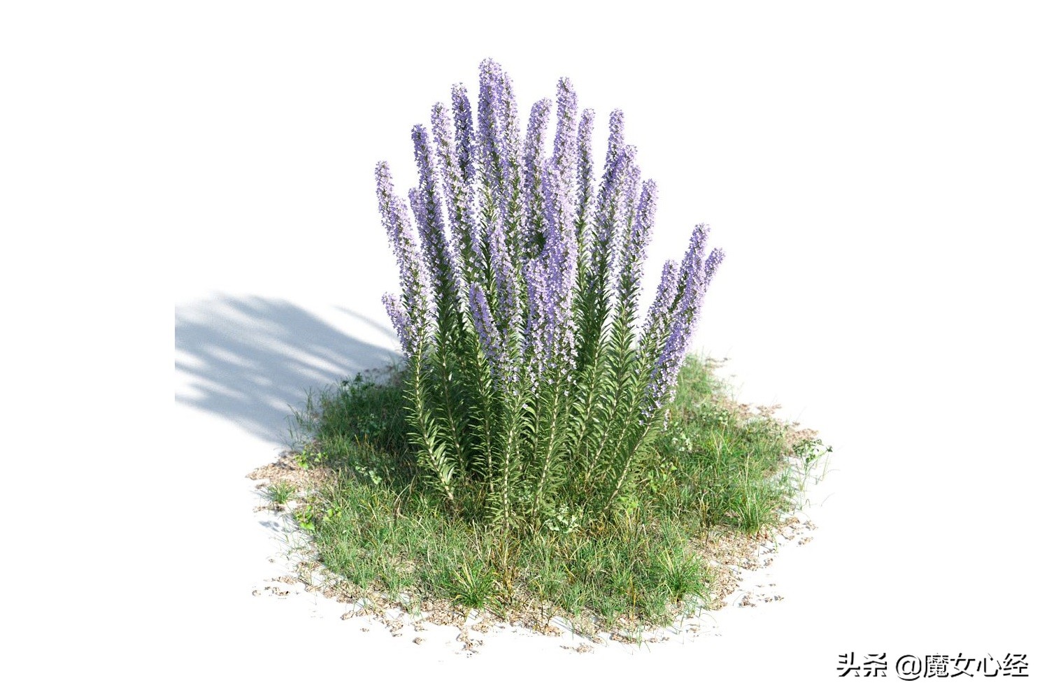 舒缓镇静的护肤品,能够修护皮肤肌底的护肤品成分