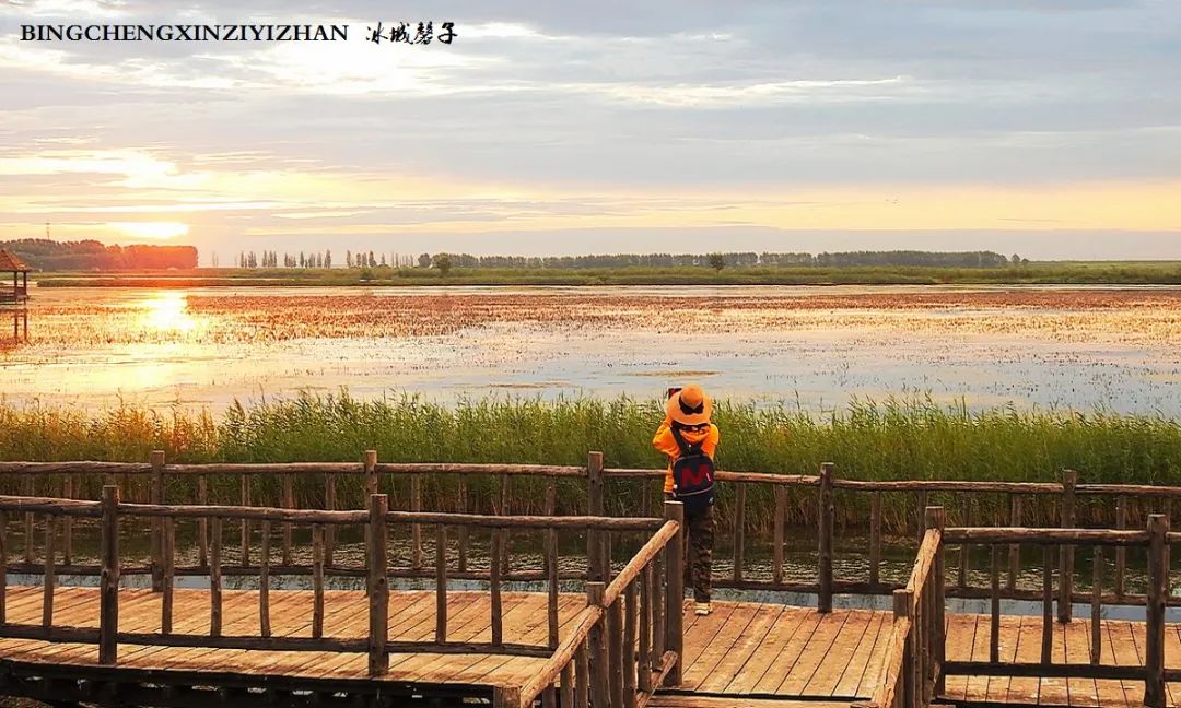 再返富锦，为着那份飘着稻花香的“湿”意约定