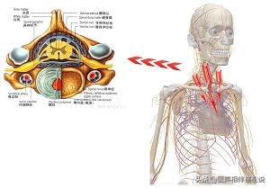 胸痛最可怕的三种疾病,十种常见的胸痛疾病