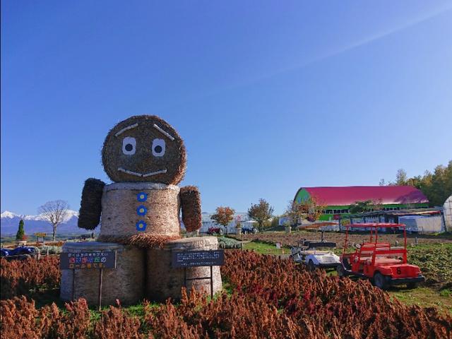 北海道登别到美瑛町需多久,日本北海道美瑛川的雪景