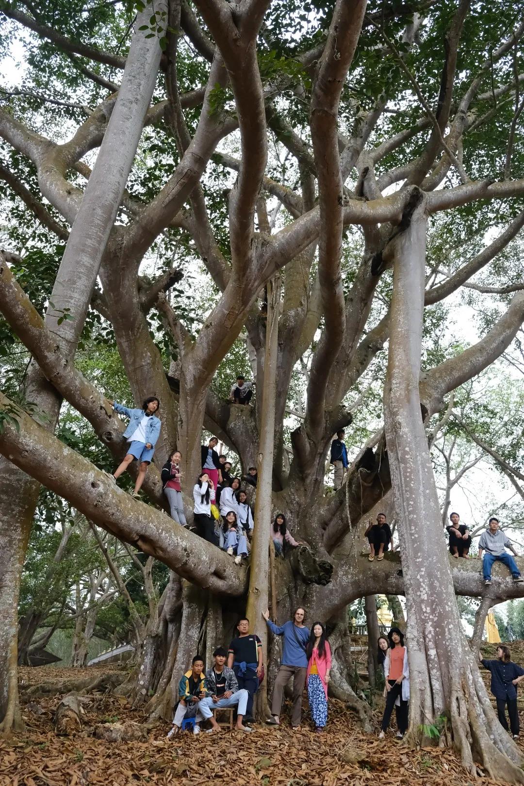 荷兰小伙和中国女孩,荷兰小伙和中国姑娘跨国恋