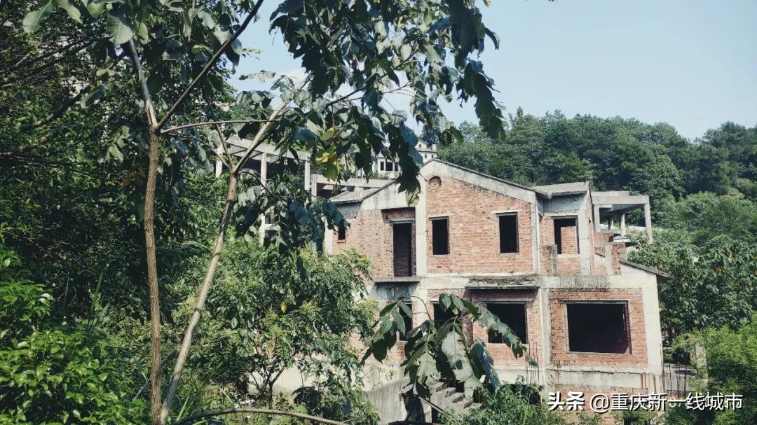 荒野求生之神秘洞穴,荒野求生神秘洞穴