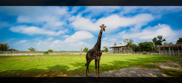 泰旅局发布2019年泰国旅游新玩法,曼谷漫游攻略