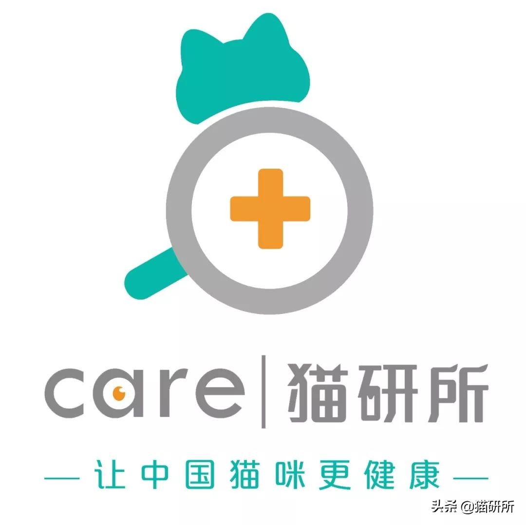 辟谣猫,辟谣猫咪食物