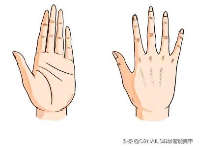 o2nails春季美甲款式,o2nails美甲推荐