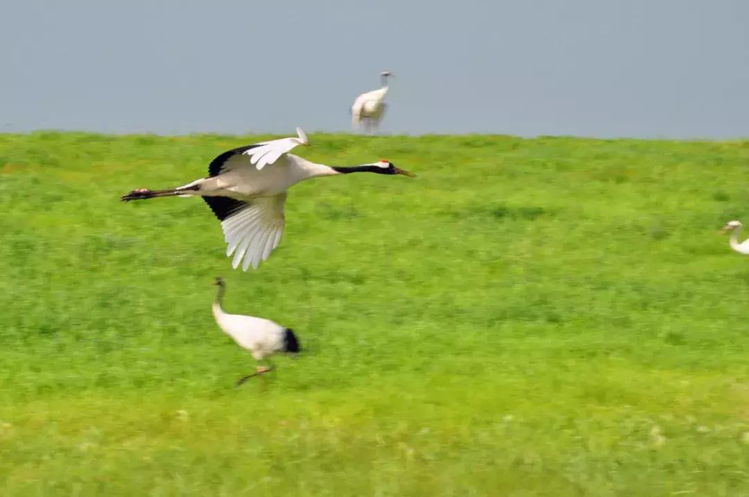 一帮闺蜜自驾游,环中俄边境自驾之旅