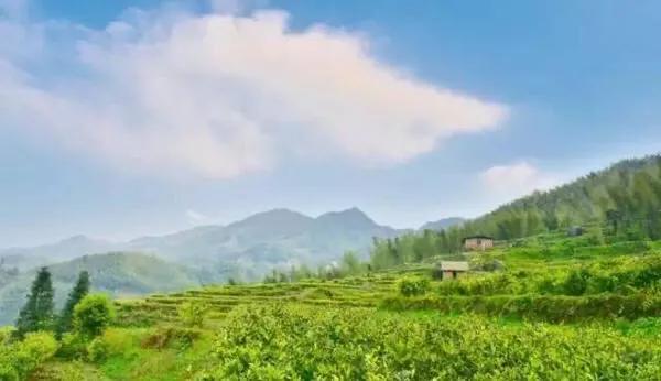 江西十大旅游秘境,春节绍兴去江西十大最美自驾路线