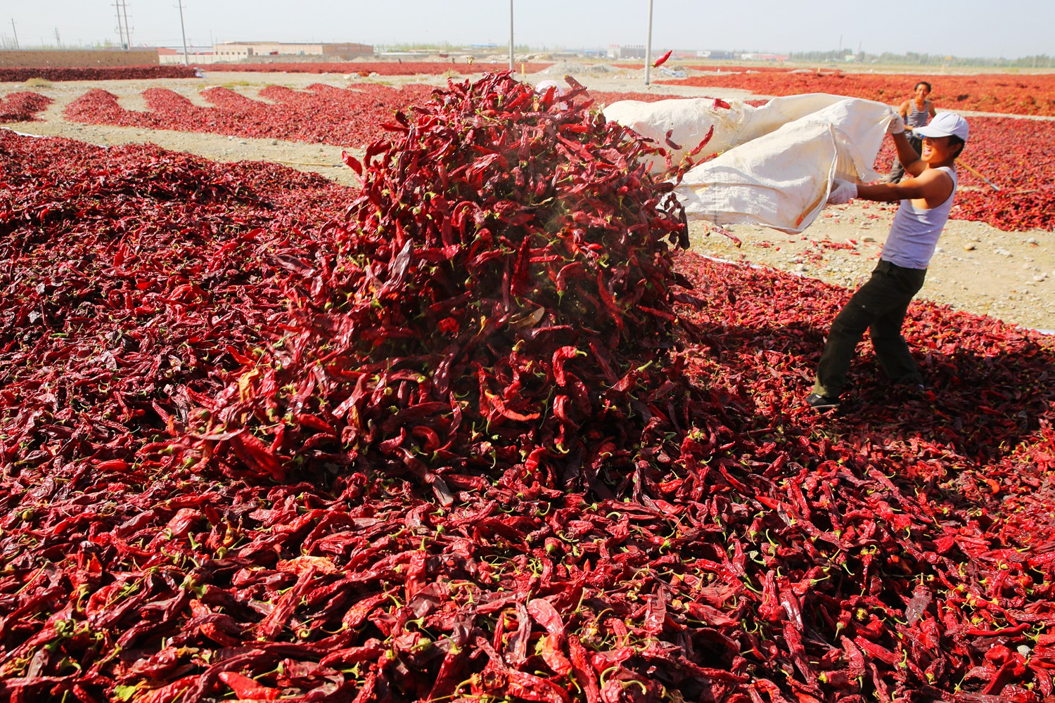 丰收快乐节,农民丰收节唱出丰收喜悦