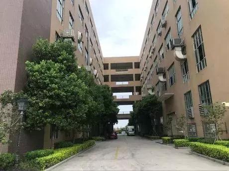 石狮泰禾拍卖是真的吗,福州五四北泰禾拍卖