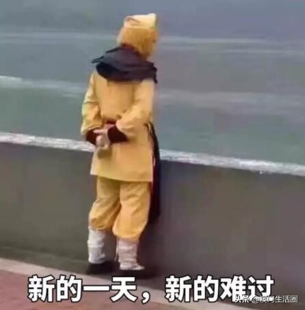 澳门澳觅外卖公司电话,澳门外卖平台现状