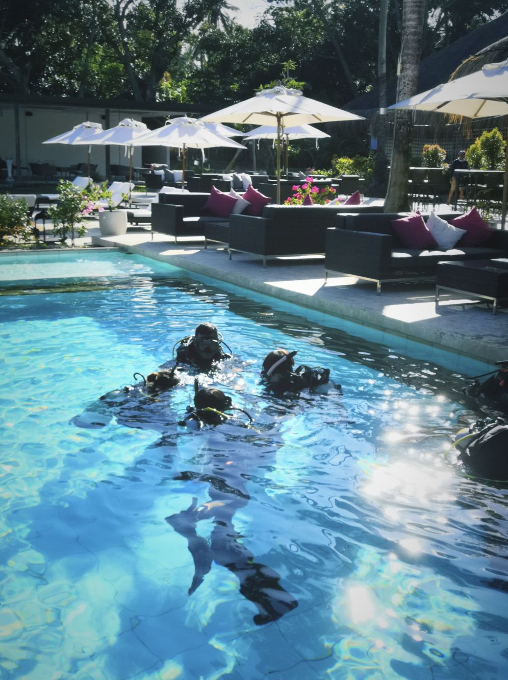 去宿雾攻略,宿雾旅行攻略