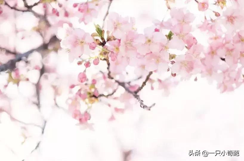 脱单小技巧代码,脱单秘籍恶搞代码