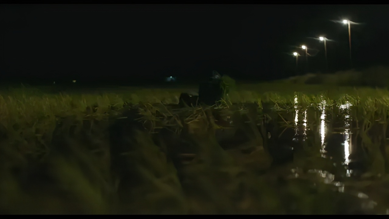 有关《南巫》的多重意境的解构，都在这里了