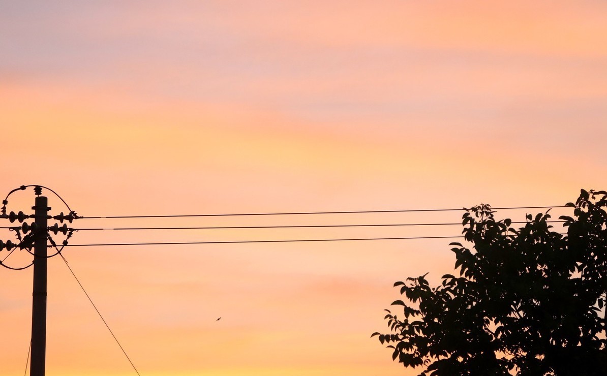 天猫开店必做的操作,天猫入驻好做吗