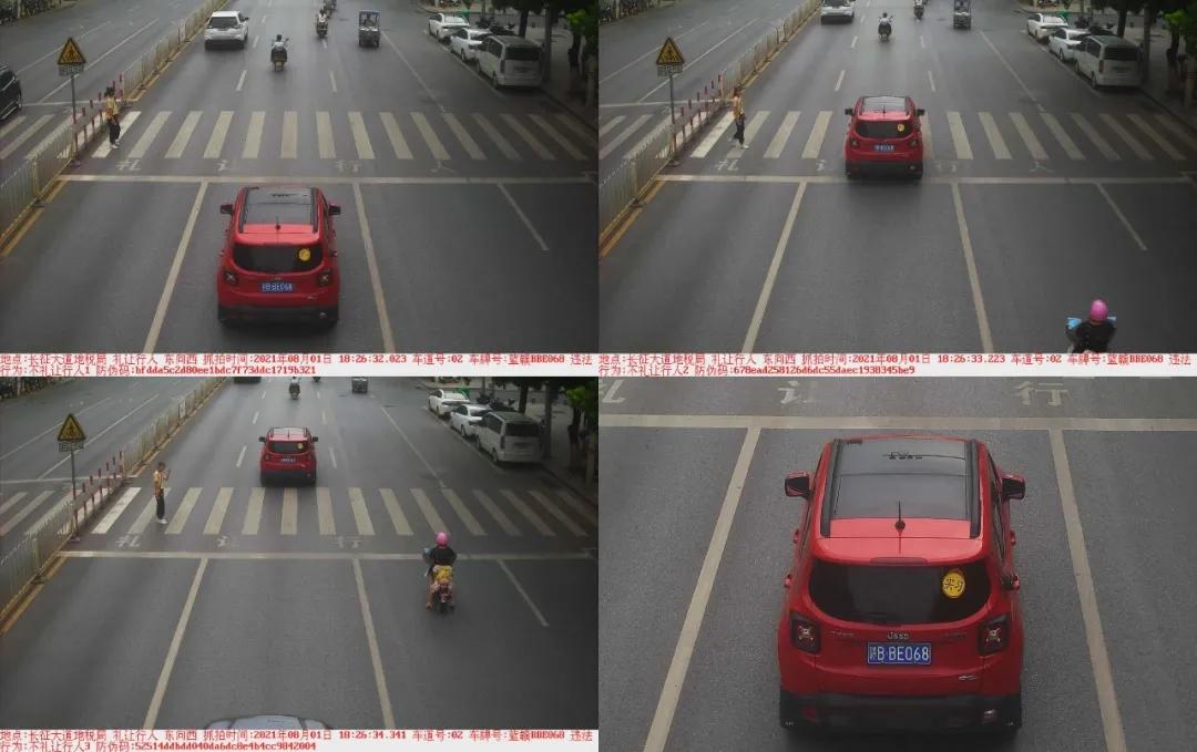 于都礼让行人上哪里举报,于都五中不礼让行人抓拍