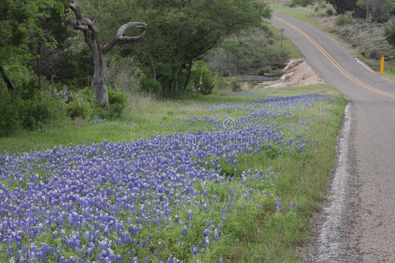 人到中年沉默寡言,人到中年沉默寡言的意思