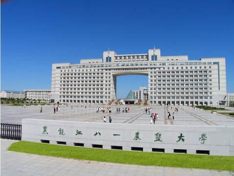 名字独一无二,名字全省独一无二的