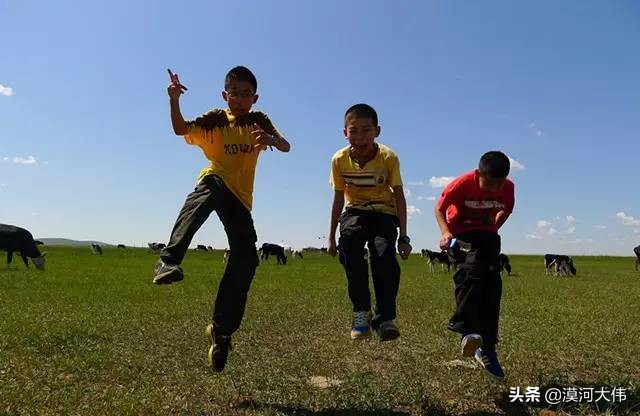 森林草原自驾游,森林亲子旅游攻略图片大全