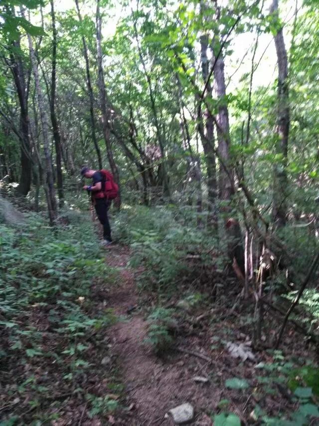 徒步老君山,徒步老君山教学