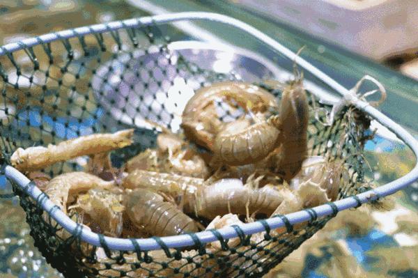 这座被央视挖掘的江南小城，比乌镇古朴，比苏杭好吃