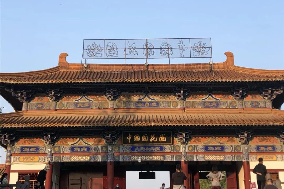 旅行结束回来继续努力,旅行恢复生命力