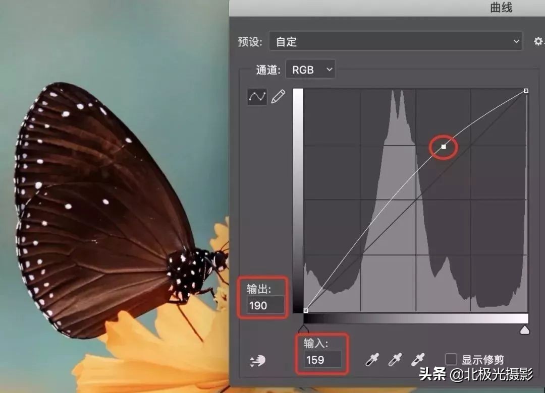 四种曲线调整方法,基本曲线正确使用方法