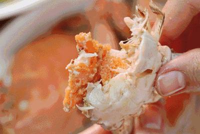 防城港市海鲜怎么挑,防城港海鲜扫货攻略附海鲜吃法