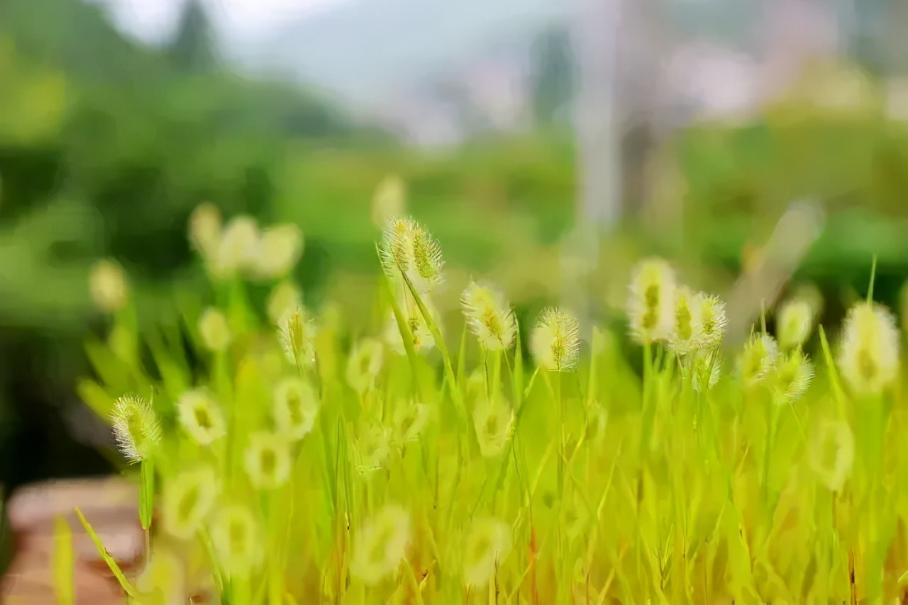 如何写出一篇优质深度文章,如何才能写好一篇文章的心得感悟