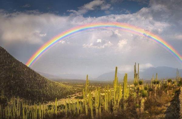地球最奇特的沙漠,地球上最优越的气候是什么气候