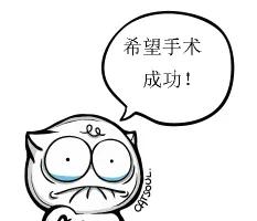 发现植物有烂根如何处理,发现植物有病害什么时候去治