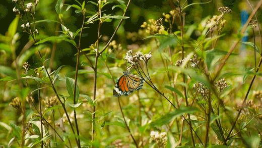 世外桃源亲子游玩好去处,近期广州既安全又好玩的亲子去处