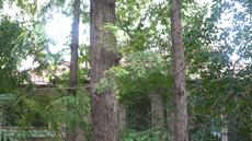 昆凌唐嫣谁漂亮,昆凌婚纱和baby婚纱