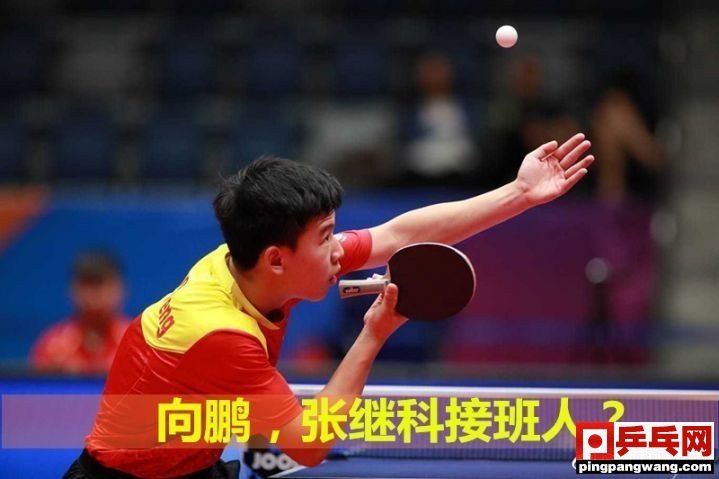 张本智和与国内运动员,张本智和和中国有什么关系