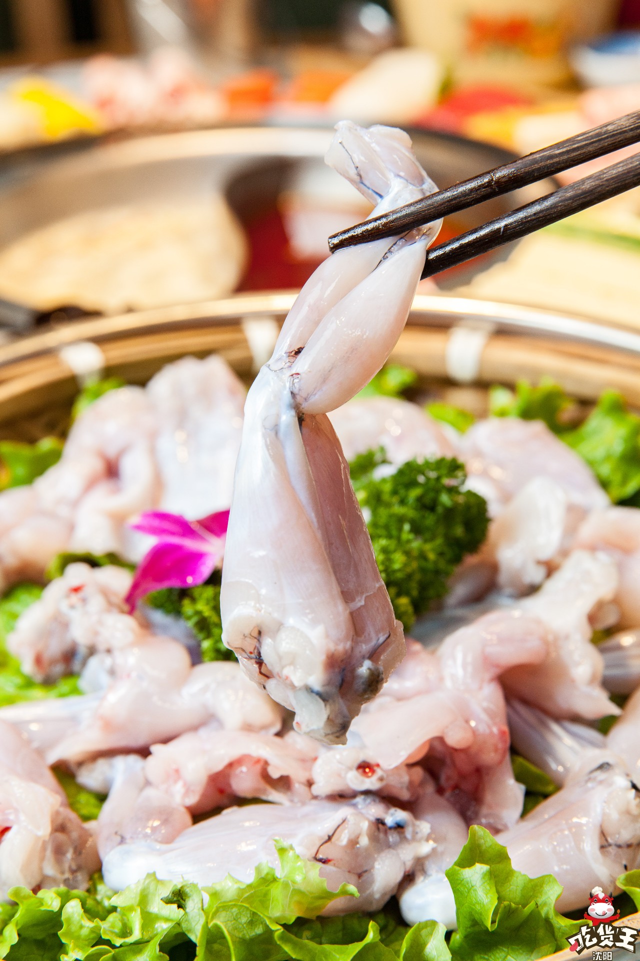 人均只要36元！江巴人火锅热辣呼啦圈上市啦