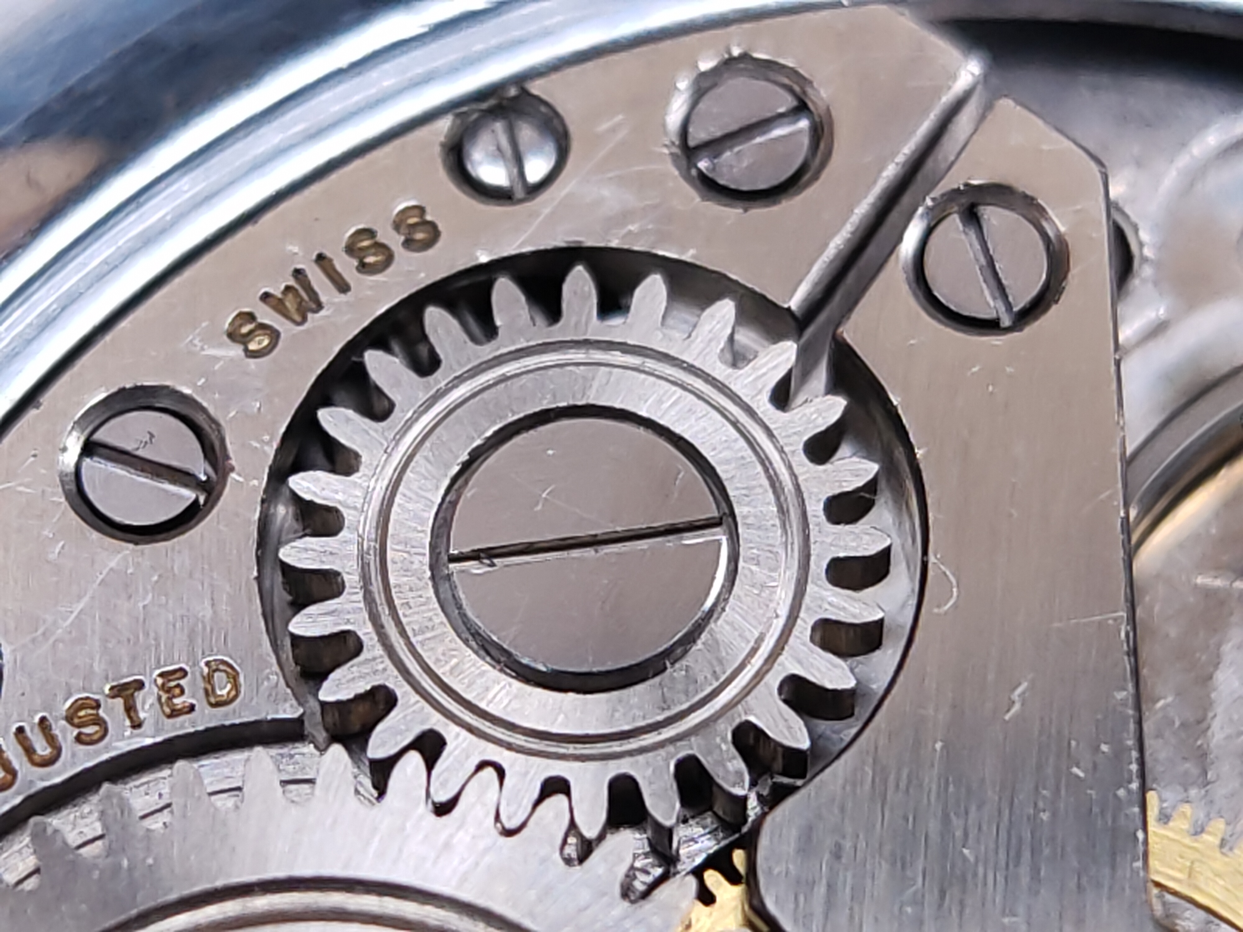 因为一条鱼爱上一个人,因一条鱼丢了一条命