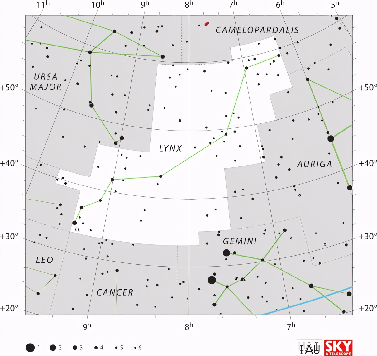 天文学星座天鹅座,天文星座海豚座