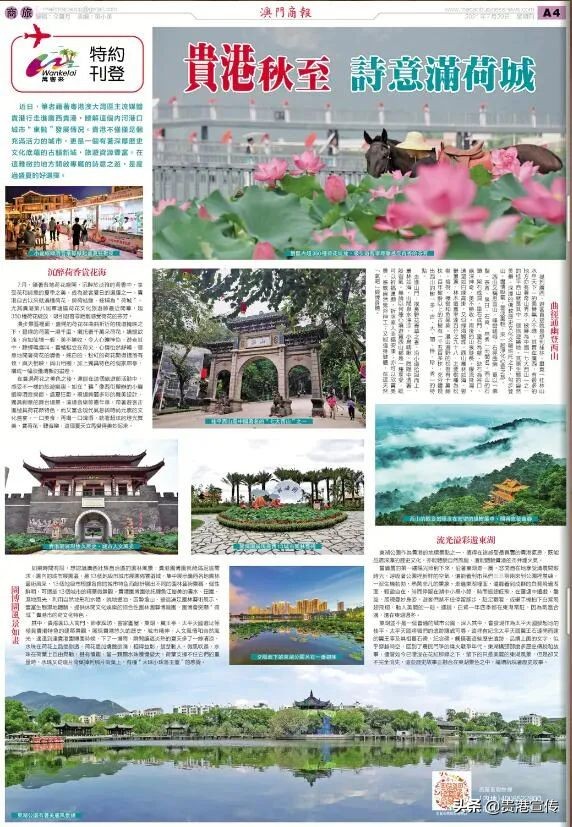 牛犇犇直播视频,牛犇直播人气