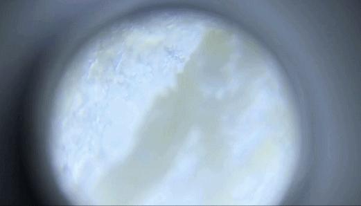 SAWALI我们的品牌我们的情怀