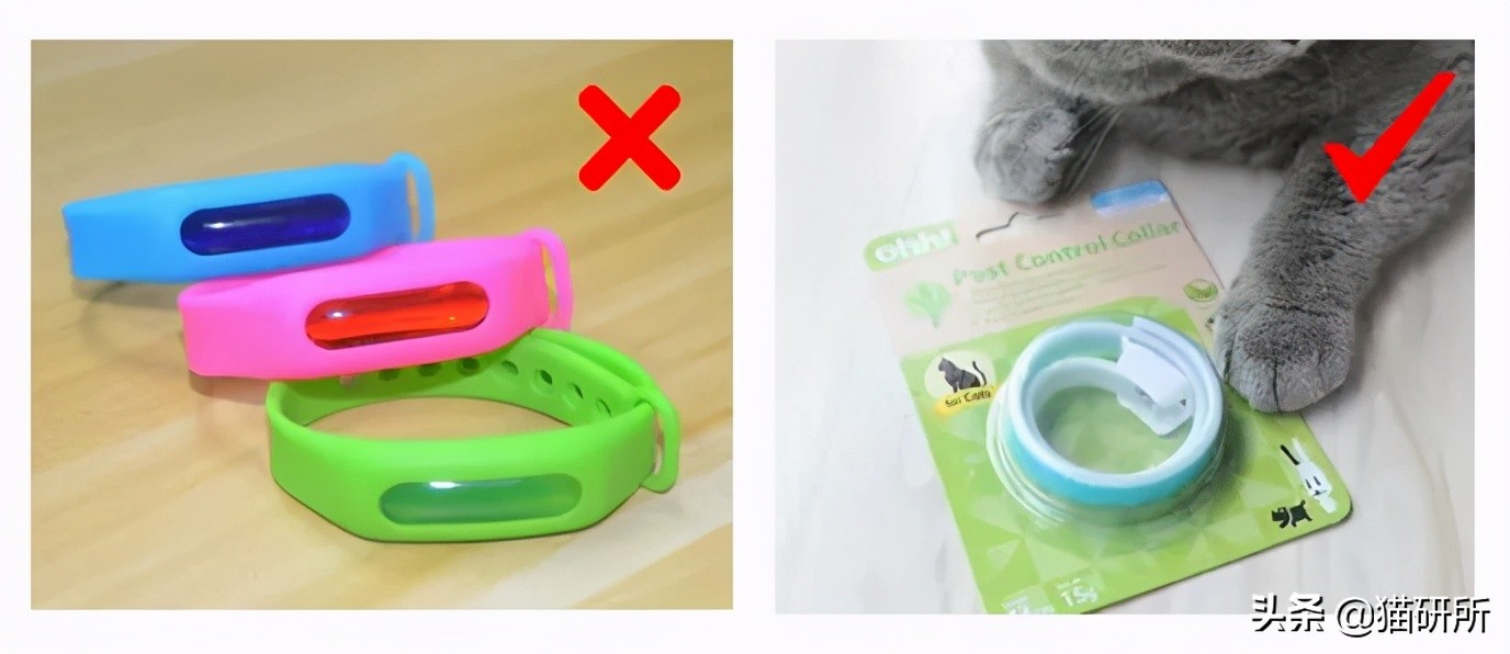 猫咪项圈对人有没有危害,猫咪项圈对猫咪有危害吗