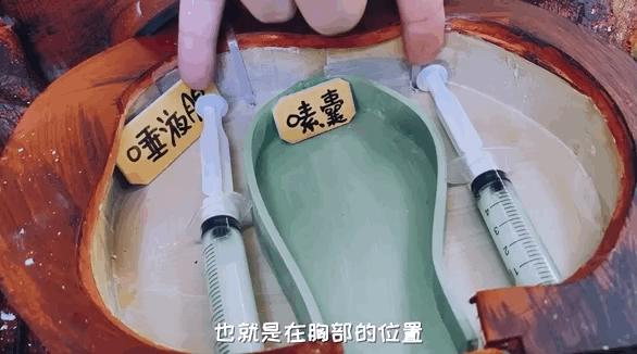 如何灭绝室内蟑螂虫卵,消除老房子蟑螂的方法