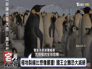 地球5年后的大灾难,地球病了会好起来吗