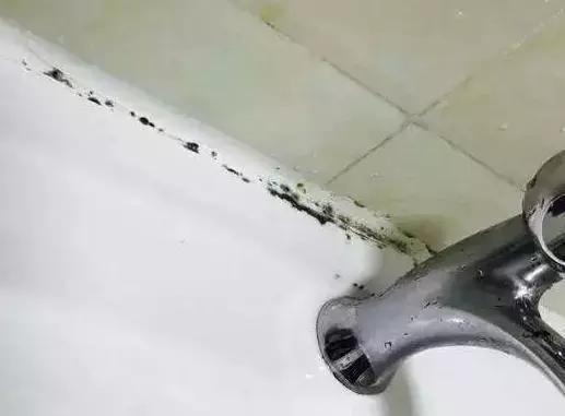 卫生间玻璃胶霉斑清洁方法及技巧,玻璃胶发霉到瓷砖上怎么去除